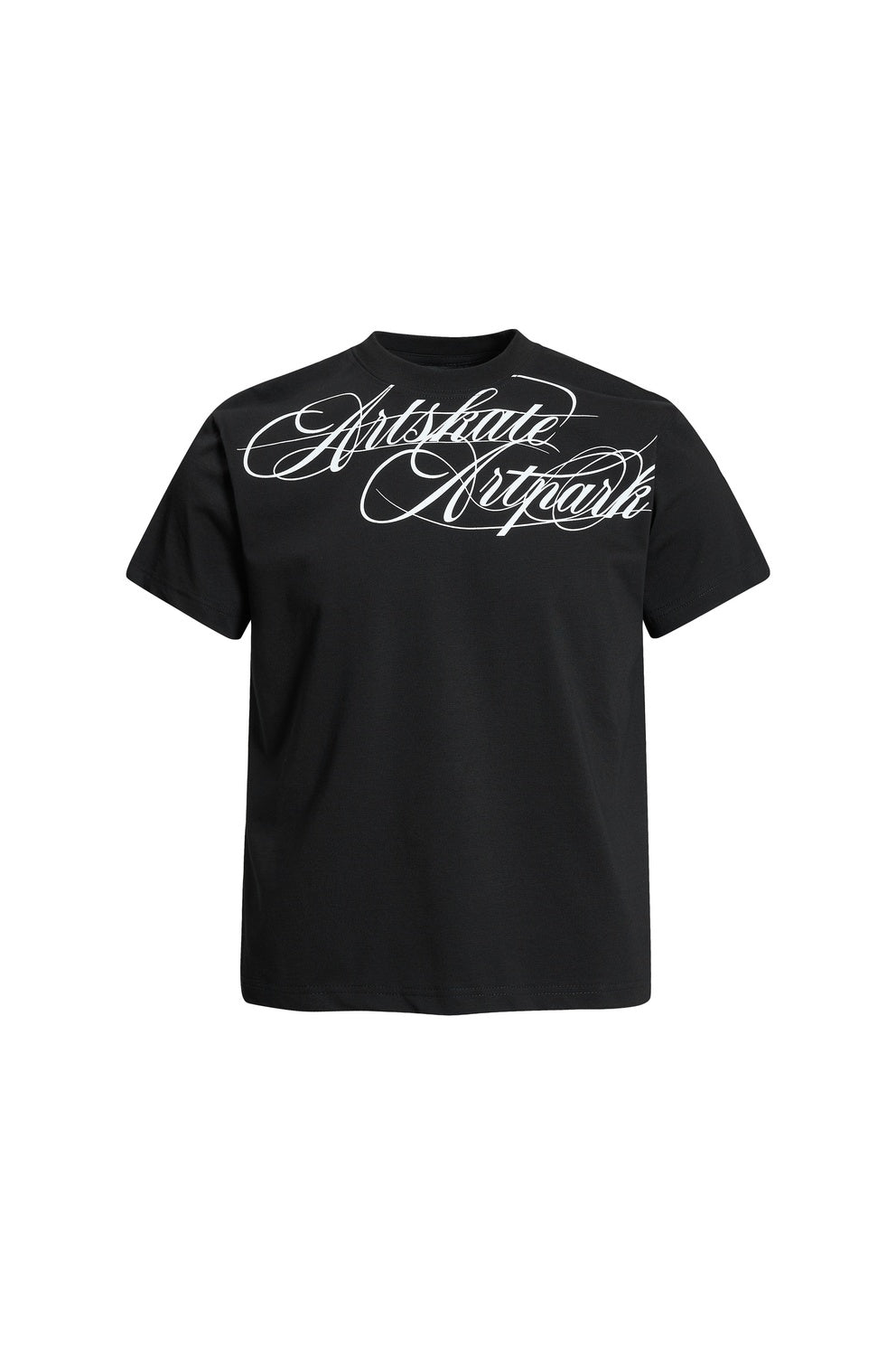 Plug‑House | Artskate Artpark Cursive‑Script Black Loose‑Fit Unisex Streetwear T‑Shirt