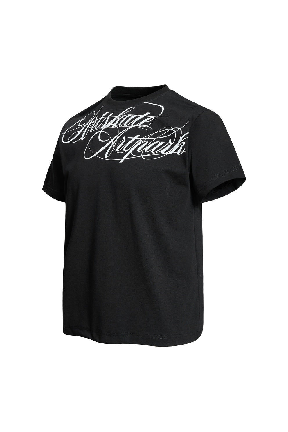 Plug‑House | Artskate Artpark Cursive‑Script Black Loose‑Fit Unisex Streetwear T‑Shirt
